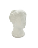 flower pot Vase Statues 14x17x21.5cm White lady head