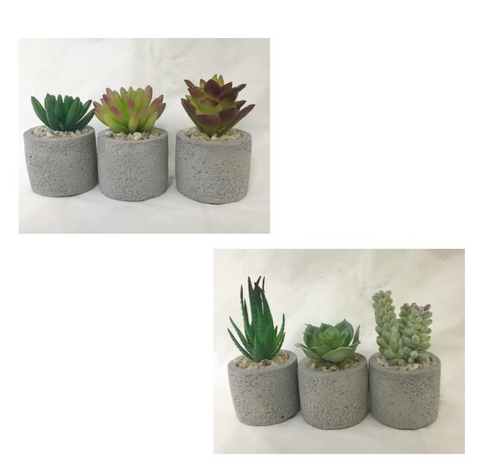 ARTIFICIAL MINI SUCCULENT 10CM 6 DESIGNS AVAILABLE