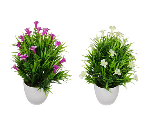 28CM MORNING GLORY PLANT IN WHITE POT 2 DESIGNS AVAILABLE