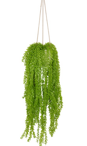 100CM LIGHT GREEN HANGING PLANT IN POT